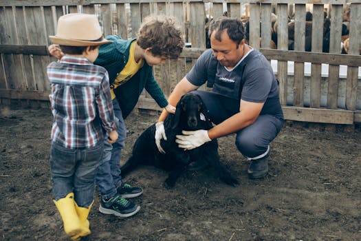 Ivermectin for Kids: Efficacy, Safety, and Global Impact Explained